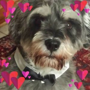 Meet your Posher, Elizabeth